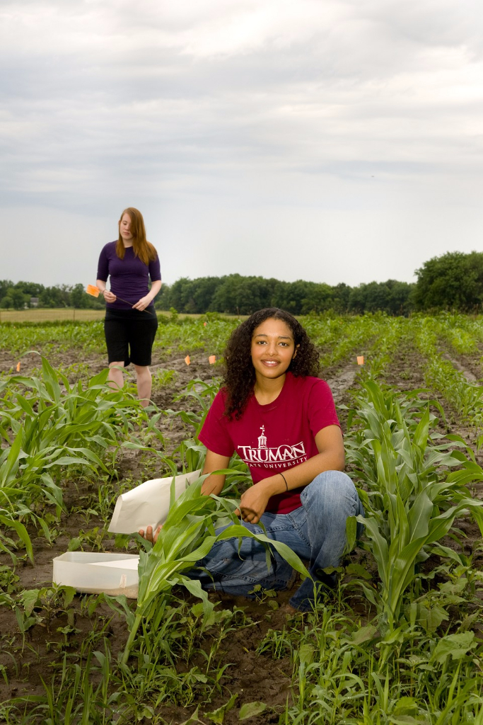 Conducting corn research at the University Farm