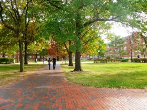 sidewalk-behind-kirk-memorial